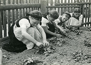 Dorfschule im Elztal 1937
