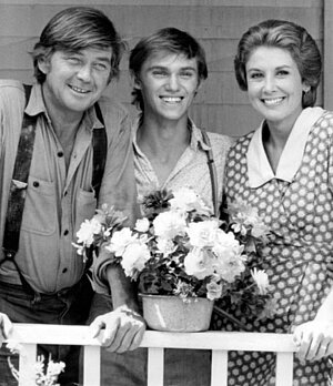 TV Serien 70er jahre