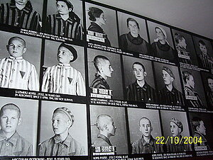 Bilder Auschwitz-Birkenau