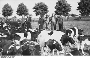 SMAD-Übergabe der Verwaltung an die DDR SMAD Gesetze