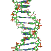 DNA