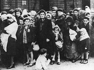 Ankunft von Juden in Auschwitz