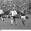 fußball wm 1974