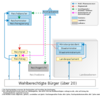 Politisches System der Weimarer VRepublik