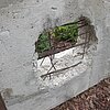 Celler Loch