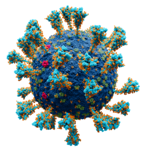 SARS-CoV-2 Coronavirus