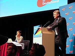 Petry und Meuthen