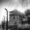 Holocaust Serie