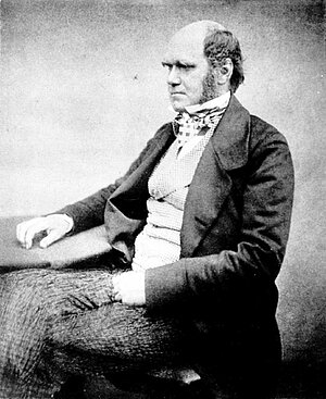 Britischer Naturforscher Charles Darwin