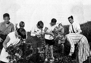 Gartenarbeit in der Schule am Meer