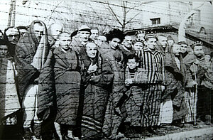 Befreiung aus Auschwitz