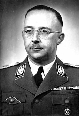 Heinrich Himmler, Reichsführer SS