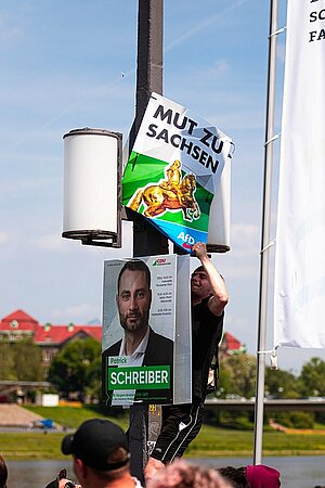 Wahlplakate AFD 