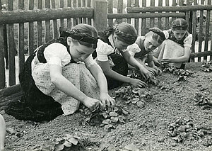 Dorfschule im Elztal